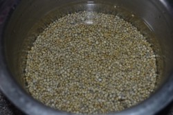 Kambu Dosai – Pearl Millet Dosai – Bajra Dosa